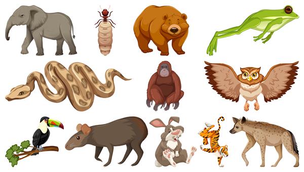 مجموعه ای از شخصیت های کارتونی حیوانات وحشی مختلف