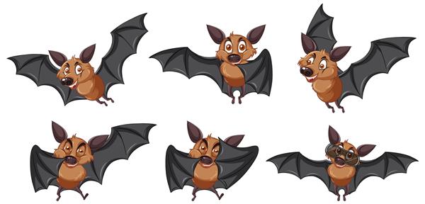 مجموعه ای از خفاش های مختلف زیبا به سبک کارتونی