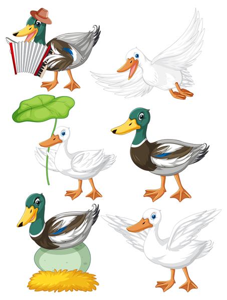 مجموعه ای از ژست های مختلف شخصیت های کارتونی اردک ها