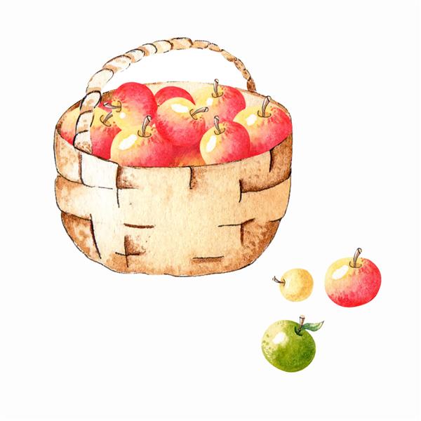سبد ترکیبی آبرنگ با سیب