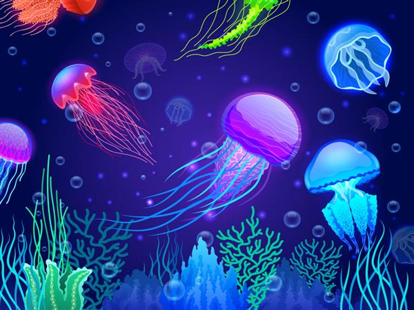 کارتونی پس زمینه چتر دریایی موجودات زیر آب درخشان شفاف رنگارنگ که با هم شناورند وکتور تصویر زمینه حیوانات چتر دریایی سمی رنگارنگ