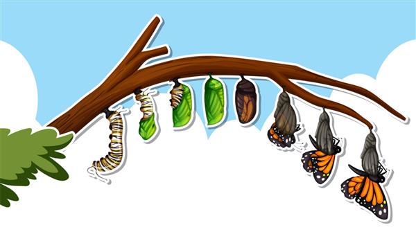 طراحی بند انگشتی با چرخه زندگی یک پروانه