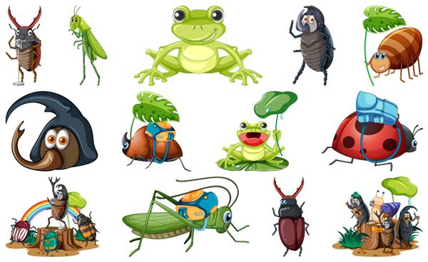مجموعه کارتون انواع حشرات و دوزیستان