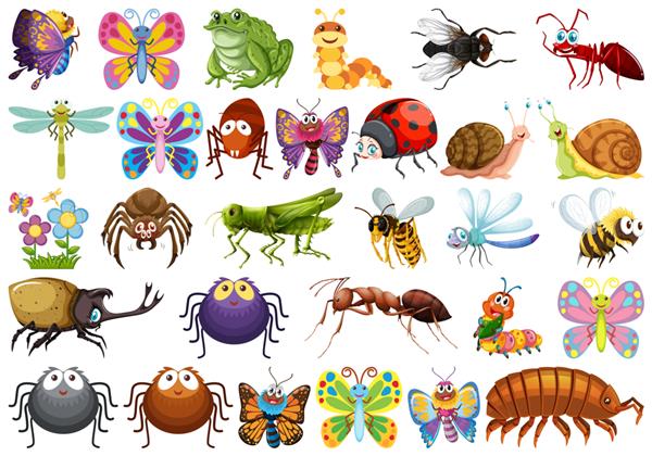 مجموعه ای از شخصیت حشرات