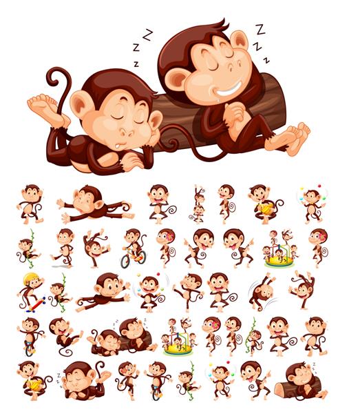مجموعه ای از شخصیت میمون