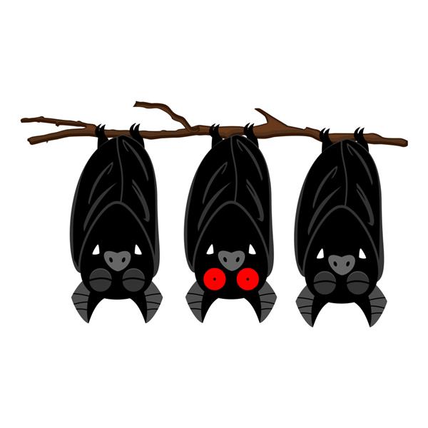 خفاش های آویزان به شخصیت کارتونی شاخه