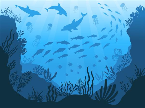 جانوران اقیانوس زیر آب گیاهان ماهی ها و حیوانات دریاهای عمیق تصویر جلبک دریایی ماهی و حیوانات