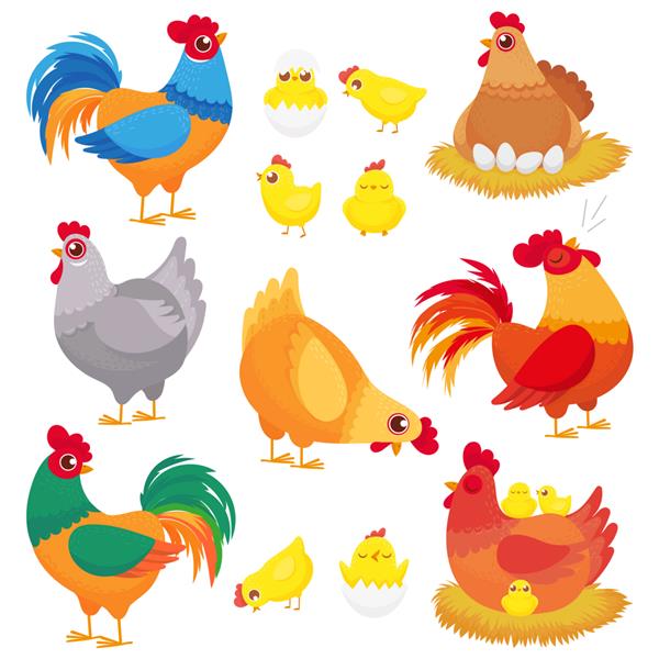 مرغ خانگی ناز مرغ پرورشی مزرعه خروس مرغ و جوجه با جوجه مجموعه کارتونی مرغ