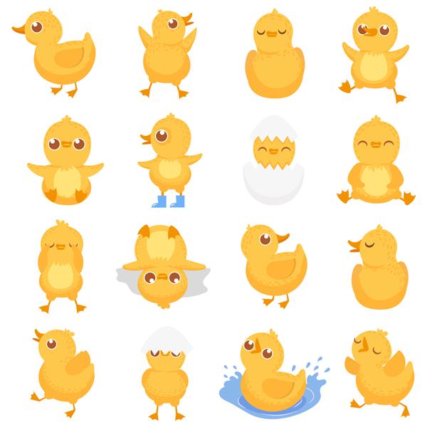کارتون جدا شده جوجه اردک زرد جوجه اردک ناز اردک های کوچک و بچه اردک