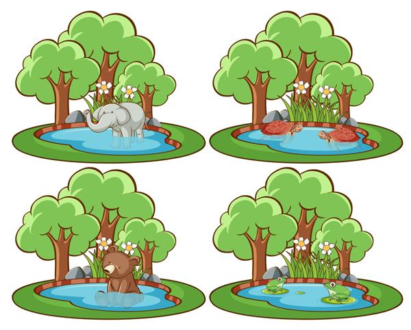 مجموعه ای از حیوانات وحشی در پارک با برکه و درخت