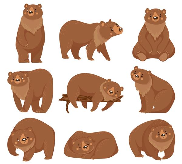 خرس قهوه ای کارتونی خرس گریزلی حیوانات شکارچی جنگل طبیعت وحشی و تصویر خرس نشسته