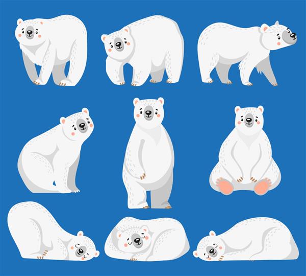 خرس قطبی کارتونی خرس سفید حیوان وحشی قطب شمال و تصویر خرس برفی