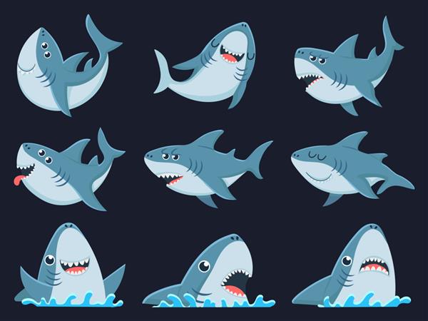 طلسم کوسه اقیانوسی مجموعه تصویری کارتونی حیوانات کوسه های ترسناک آرواره های خندان و کوسه های شنا