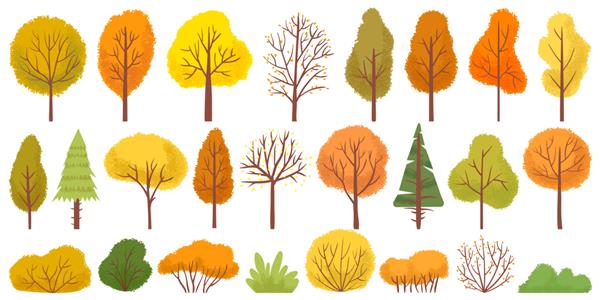 درختان زرد پاییزی مجموعه تصویری درخت رنگارنگ باغ بوته باغ پاییزی و برگ درخت فصل پاییز