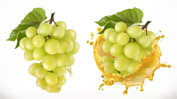 انگور شیرین و آبمیوه سفید میوه های تازه واقع بینانه