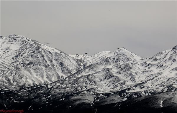 برف روی کوه در طبیعت زیبای ایارن