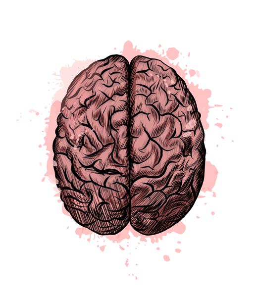 مغز انسان از پاشیدن آبرنگ نقاشی رنگی واقع بینانه