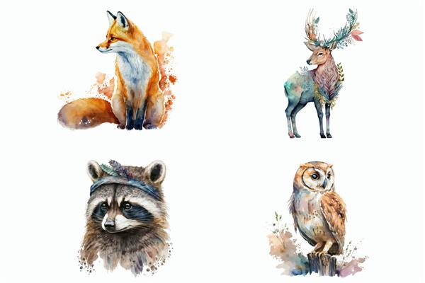 مجموعه آبرنگی از حیوانات جنگلی با تصویر دستی جدا شده روی پس زمینه سفید به سبک بوهو