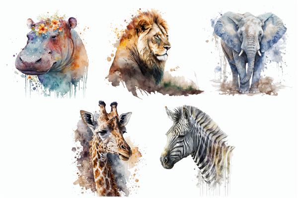 مجموعه حیوانات سافاری گورخر فیل زرافه شیر اسب آبی در تصویر برداری جدا شده به سبک آبرنگ