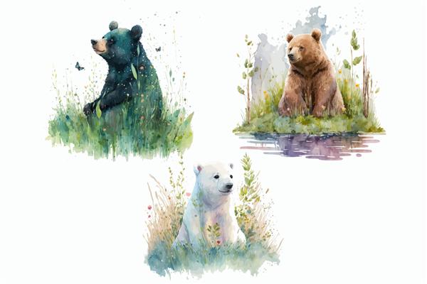 مجموعه حیوانات سافاری خرس قطبی خرس قهوه ای خرس سیاه در تصویر برداری جدا شده به سبک آبرنگ