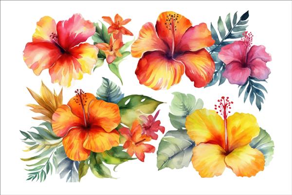 مجموعه ایزوله تصویر گل های تزئینی الگوی عناصر گل تزئینی تصویر کارتونی مسطح جدا شده