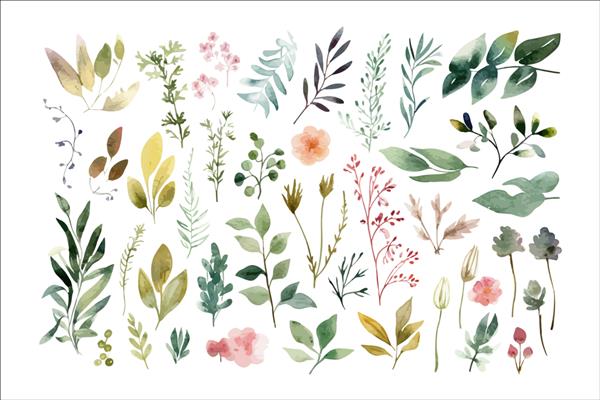 مجموعه تصویرسازی گل آبرنگی الگوی عناصر گل تزئینی تصویر کارتونی تخت جدا شده در پس زمینه سفید