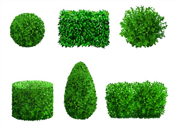 مجموعه ای از گیاهان زینتی و درختان برای محوطه سازی