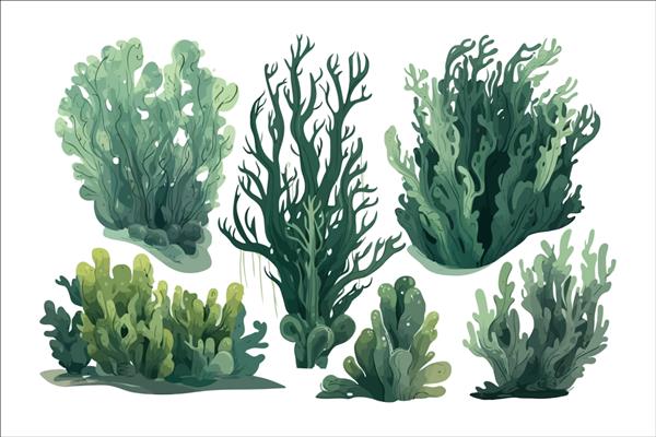 گیاهان جلبک کارتونی جدا شده در تصویر برداری کارتونی پس زمینه