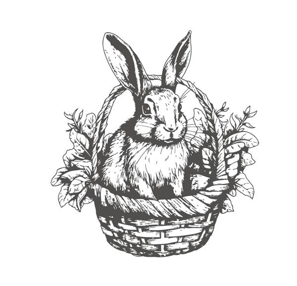 خرگوش اسم حیوان دست اموز عید پاک در سبد سیاه و سفید یک طرح دستی که بر روی تصویر برداری پس زمینه سفید برجسته شده است