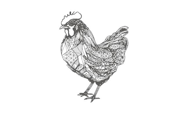 مرغ سیاه و سفید یک طرح دستی که بر روی تصویر برداری پس زمینه سفید برجسته شده است