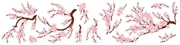 مجموعه ای از عناصر نقاشی چینی وکتور شاخه های شکوفه آلو