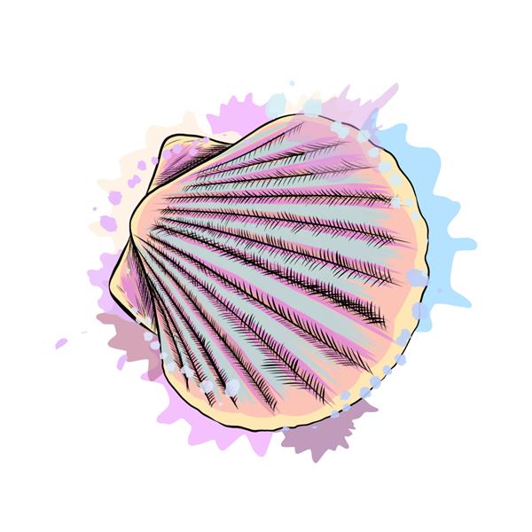 گوش ماهی صدف دریایی با نمای بالا از یک چلپ چلوپ از نقاشی آبرنگ رنگی واقع گرایانه