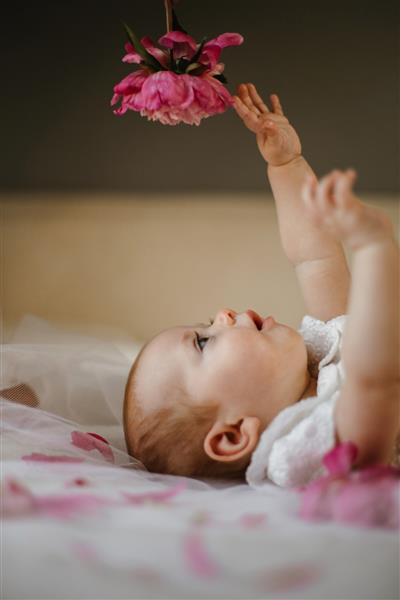 نمای کناری دختر بچه بامزه ای که روی تخت دراز کشیده و به طور جدی سعی می کند گل صد تومانی صورتی کمرنگ را بگیرد
