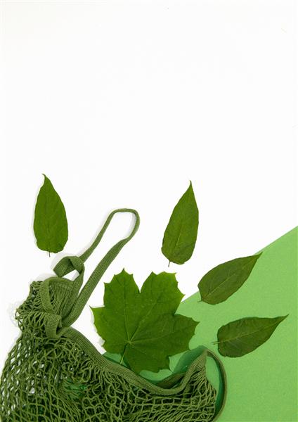 برگهای ارگانیک صحنه سبز تازه مینیمالیستی در کیسه مشبک روی زمینه سبز و سفید
