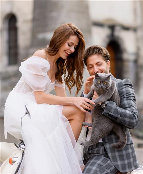 عروس و داماد در فضای باز گربه را نوازش می کنند