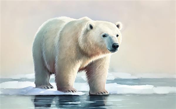 یک خرس قطبی روی یک شناور یخ ایستاده است