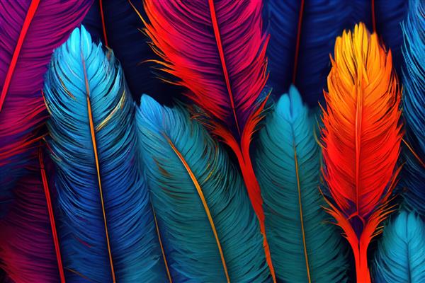 تصاویر پس زمینه انتزاعی از پرهای پرنده پرندگان مختلف در پس زمینه رنگارنگ