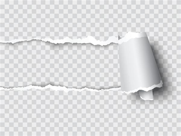 وکتور کاغذ پاره شده لایه لایه