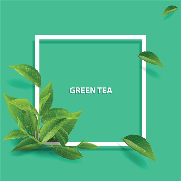 برگ های چای سبز در حال حرکت در زمینه سبز عنصری برای طراحی تبلیغات تصویرسازی بسته بندی محصولات چای