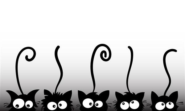 گربه های سیاه خنده دار
