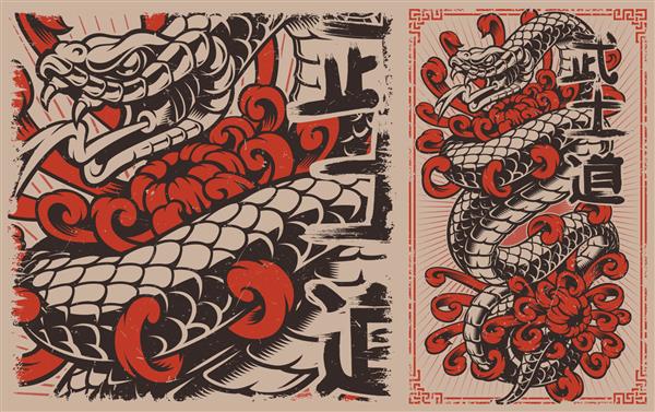 طرح خالکوبی مار ژاپنی افعی و گل داودی به سبک ژاپنی ایده آل برای پوستر چاپ پیراهن و بسیاری دیگر
