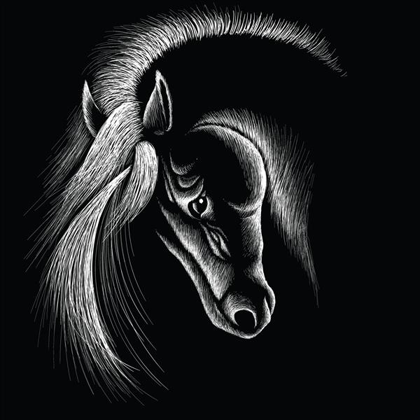 اسب لوگوی وکتور برای طراحی تی شرت یا لباس های بزرگ پس زمینه اسب سبک شکار