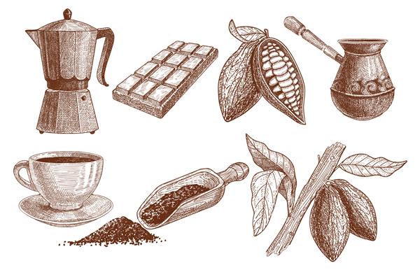 مجموعه ای از محصولات از دانه های کاکائو دم کرده شکلات دانه های کاکائو در برش و یک بوقلمون برای دم کردن نوشیدنی و همچنین یک فنجان و یک قاشق برای پودر کاکائو و دانه های در حال رشد