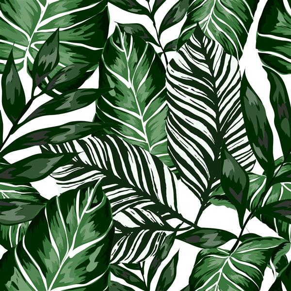 الگوی بدون درز آبرنگ با برگ های استوایی نخل هیولا میوه شور چاپ روی سرتاسر زیبا با گیاهان عجیب و غریب طراحی شده با دست طراحی گیاه شناسی لباس شنا بردار