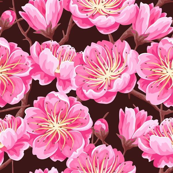 الگوی بدون درز با ساکورا یا شکوفه گیلاس تزئینات ژاپنی گلدار از گلهای شکوفه