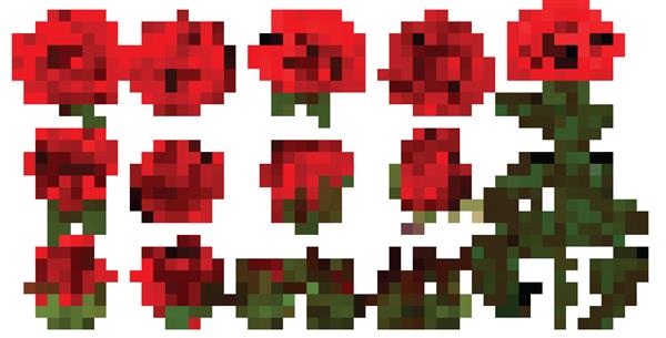 مجموعه گل رز از گیاه گلدار نماد جدا شده گل رز باغی از شکوفه قرمز گلبرگ و غنچه با ساقه و برگ سبز برای تزئین گل عاشقانه دسته گل عروسی و کارت تبریک ولنتاین