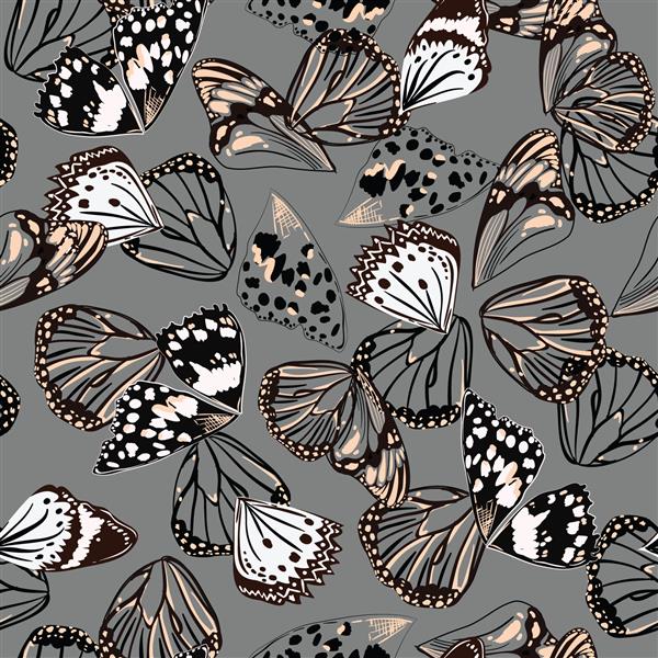 رنگ‌های سیاه و خاکستری یکنواخت وکتور الگوی بدون درز خط سطح بال پروانه طراحی طرح دستی برای مد پارچه وب کاغذ دیواری و همه چاپ‌های روی خاکستری