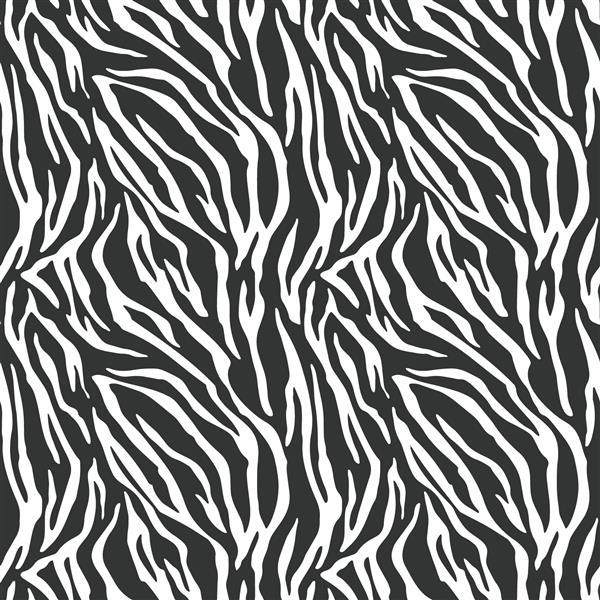 الگوی پوست حیوانات با نوارهای بدون درز گورخری در وکتور سیاه و سفید انتزاعی تصویر زیگزاگ برای پس زمینه چاپ پارچه لباس لباس