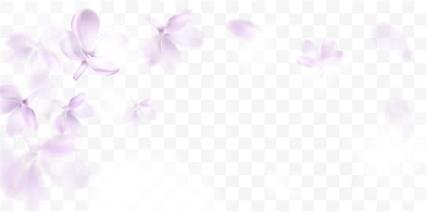 پس زمینه گل با الگوی تصویر شفاف وکتور گل یاسی صورتی ملایم و گلبرگ