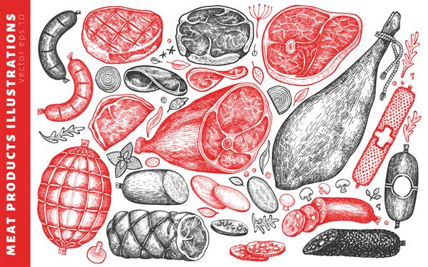 مجموعه تصویری محصولات گوشتی وکتور قدیمی ژامبون دستی سوسیس جامون استیک گوشت ادویه جات و گیاهان مواد تشکیل دهنده غذای گوشت قابل استفاده برای برچسب منوی رستوران